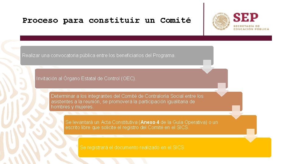 Proceso para constituir un Comité Realizar una convocatoria pública entre los beneficiarios del Programa. Proceso para constituir un Comité Realizar una convocatoria pública entre los beneficiarios del Programa.