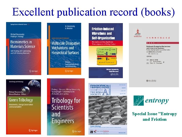 Excellent publication record (books) Special Issue "Entropy and Friction 