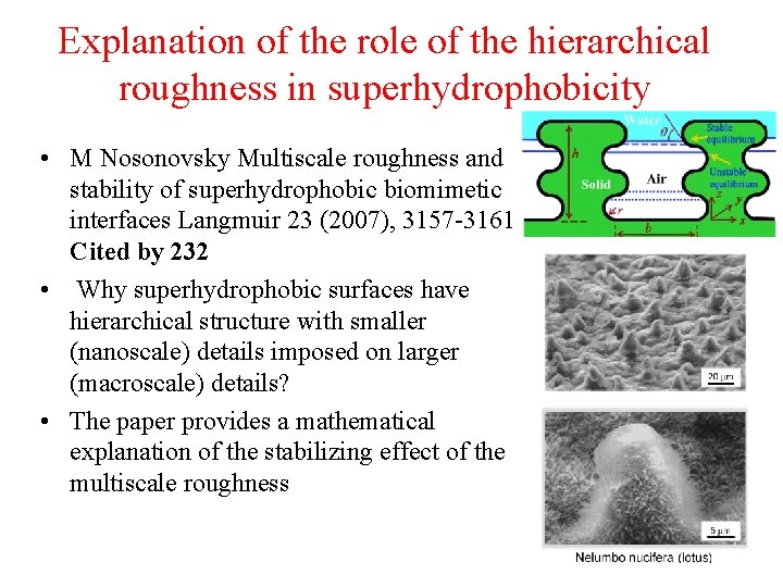 Explanation of the role of the hierarchical roughness in superhydrophobicity • M Nosonovsky Multiscale