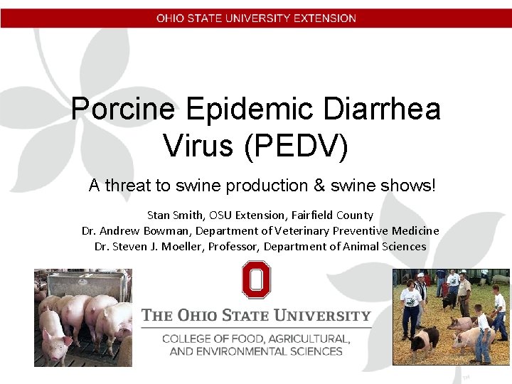 Porcine Epidemic Diarrhea Virus (PEDV) A threat to swine production & swine shows! Stan Porcine Epidemic Diarrhea Virus (PEDV) A threat to swine production & swine shows! Stan