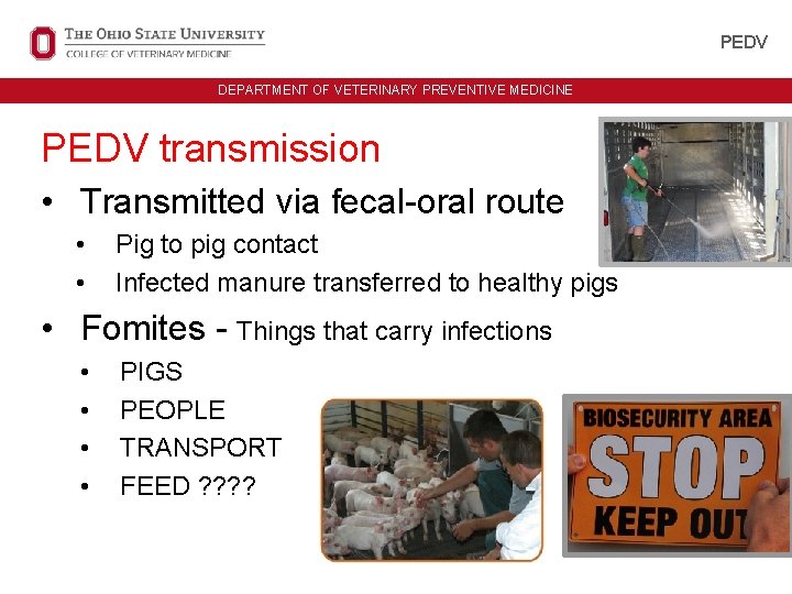 UNIT ID HERE IN ALL CAPS DEPARTMENT OF VETERINARY PREVENTIVE MEDICINE PEDV transmission • UNIT ID HERE IN ALL CAPS DEPARTMENT OF VETERINARY PREVENTIVE MEDICINE PEDV transmission •