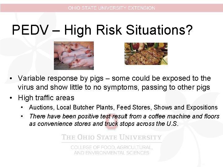 PEDV – High Risk Situations? • Variable response by pigs – some could be PEDV – High Risk Situations? • Variable response by pigs – some could be