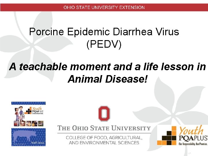 Porcine Epidemic Diarrhea Virus (PEDV) A teachable moment and a life lesson in Animal Porcine Epidemic Diarrhea Virus (PEDV) A teachable moment and a life lesson in Animal
