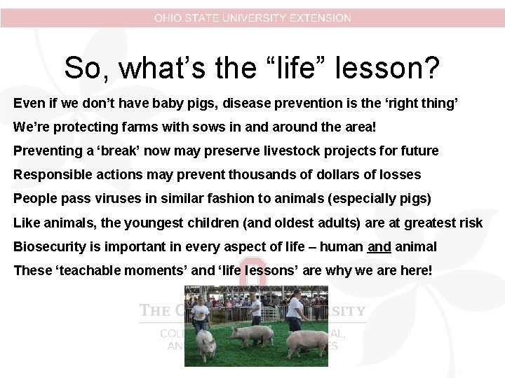 So, what’s the “life” lesson? Even if we don’t have baby pigs, disease prevention So, what’s the “life” lesson? Even if we don’t have baby pigs, disease prevention