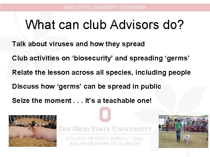 What can club Advisors do? Talk about viruses and how they spread Club activities What can club Advisors do? Talk about viruses and how they spread Club activities