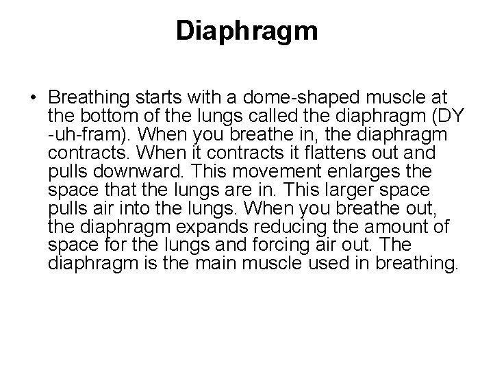 Diaphragm • Breathing starts with a dome-shaped muscle at the bottom of the lungs