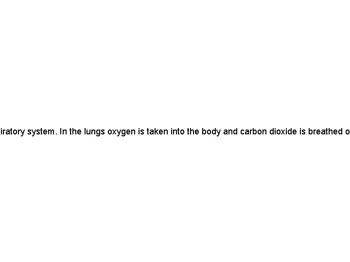piratory system. In the lungs oxygen is taken into the body and carbon dioxide