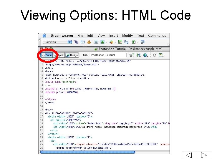 Viewing Options: HTML Code 