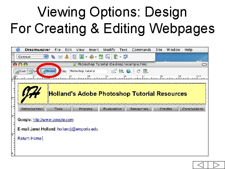 Viewing Options: Design For Creating & Editing Webpages 