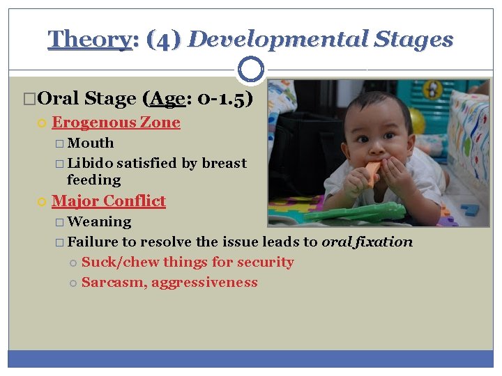 Theory: (4) Developmental Stages �Oral Stage (Age: 0 -1. 5) Erogenous Zone � Mouth