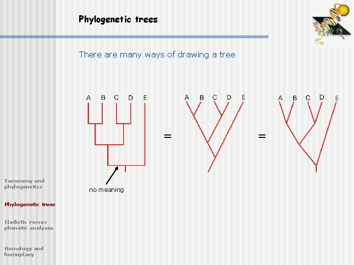 Phylogenetic trees There are many ways of drawing a tree = Taxonomy and phylogenetics