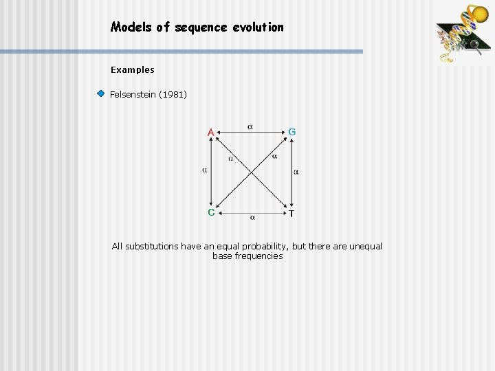 Models of sequence evolution Examples Felsenstein (1981) All substitutions have an equal probability, but