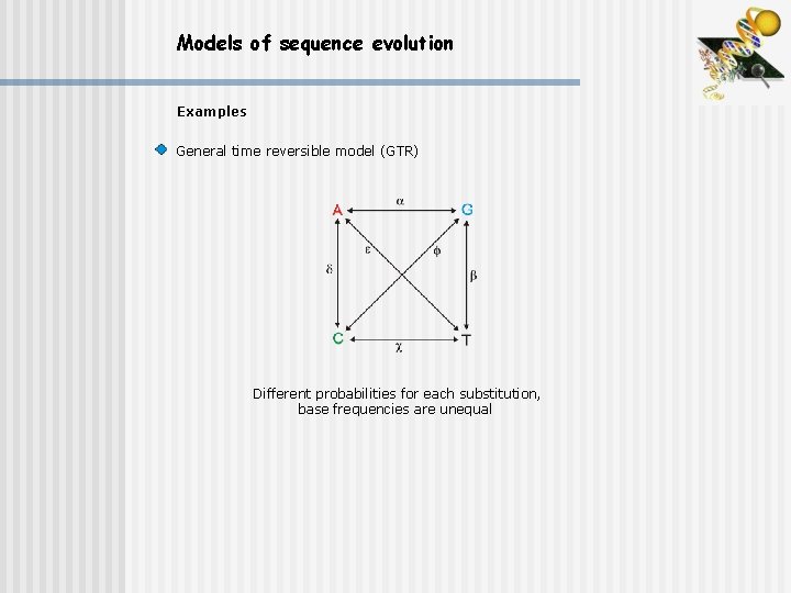 Models of sequence evolution Examples General time reversible model (GTR) Different probabilities for each