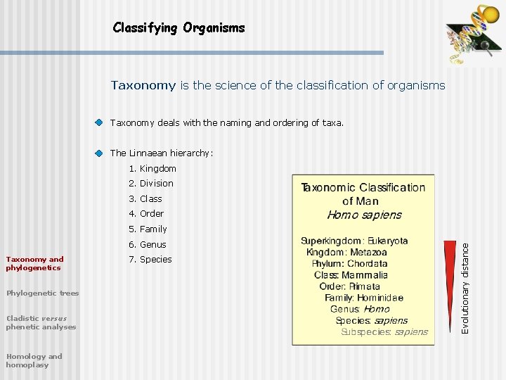 Classifying Organisms Taxonomy is the science of the classification of organisms Taxonomy deals with
