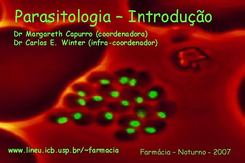 Parasitologia – Introdução Dr Margareth Capurro (coordenadora) Dr Carlos E. Winter (infra-coordenador) www. lineu.