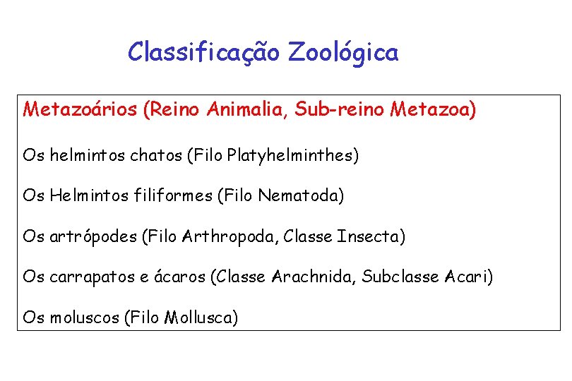 Classificação Zoológica Metazoários (Reino Animalia, Sub-reino Metazoa) Os helmintos chatos (Filo Platyhelminthes) Os Helmintos