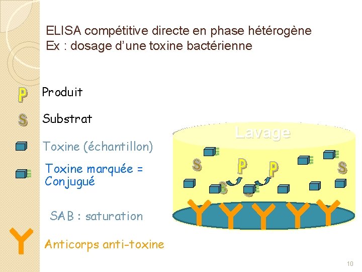 ELISA compétitive directe en phase hétérogène Ex : dosage d’une toxine bactérienne Produit Substrat