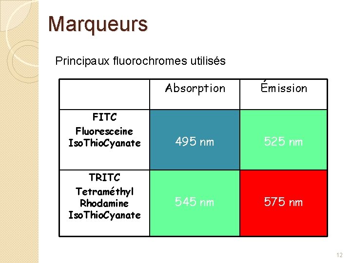 Marqueurs Principaux fluorochromes utilisés FITC Fluoresceine Iso. Thio. Cyanate TRITC Tetraméthyl Rhodamine Iso. Thio.