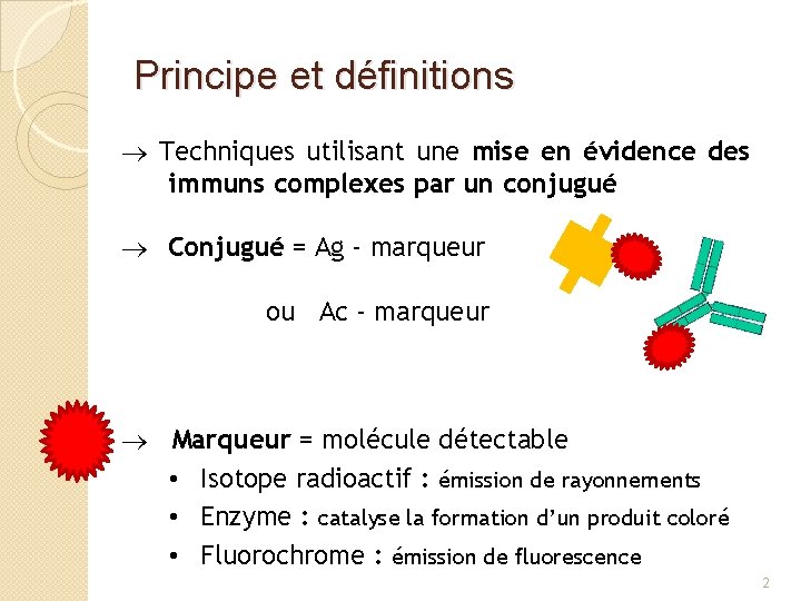 Principe et définitions Techniques utilisant une mise en évidence des immuns complexes par un