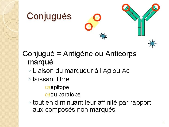 Conjugués Conjugué = Antigène ou Anticorps marqué ◦ Liaison du marqueur à l’Ag ou