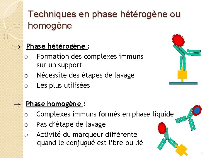 Techniques en phase hétérogène ou homogène Phase hétérogène : o Formation des complexes immuns