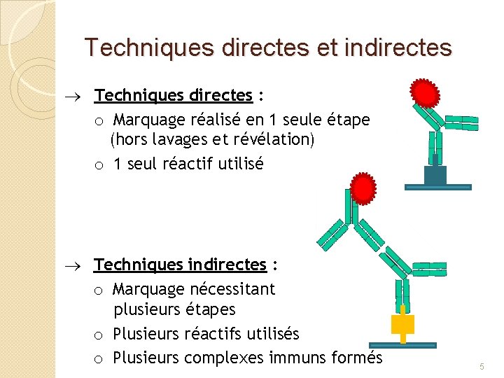 Techniques directes et indirectes Techniques directes : o Marquage réalisé en 1 seule étape