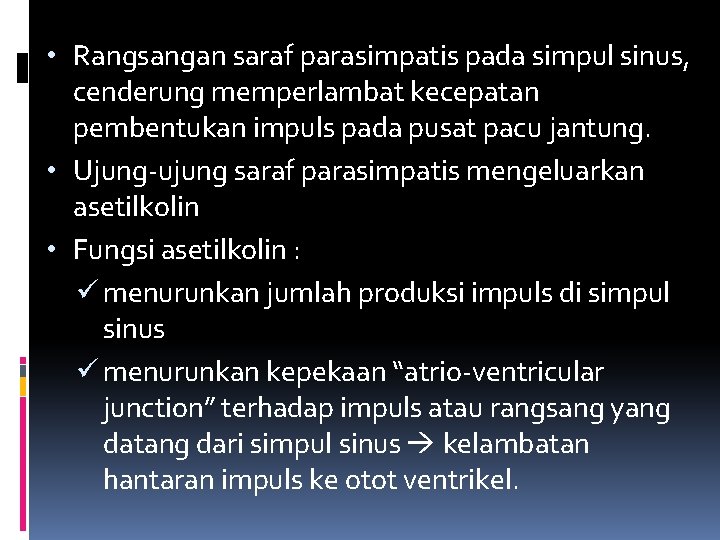  • Rangsangan saraf parasimpatis pada simpul sinus, cenderung memperlambat kecepatan pembentukan impuls pada