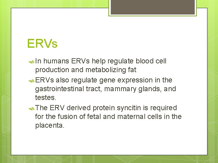 ERVs In humans ERVs help regulate blood cell production and metabolizing fat ERVs also