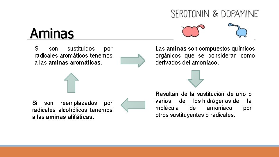Aminas Si son sustituidos por radicales aromáticos tenemos a las aminas aromáticas. Las aminas
