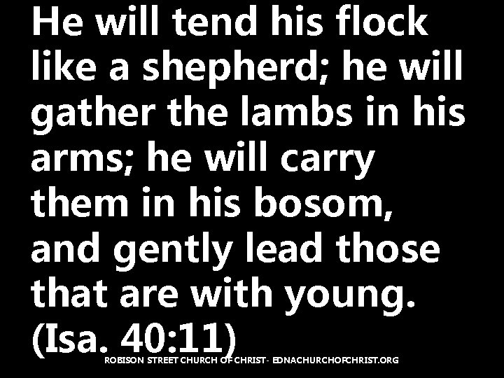 He will tend his flock like a shepherd; he will gather the lambs in