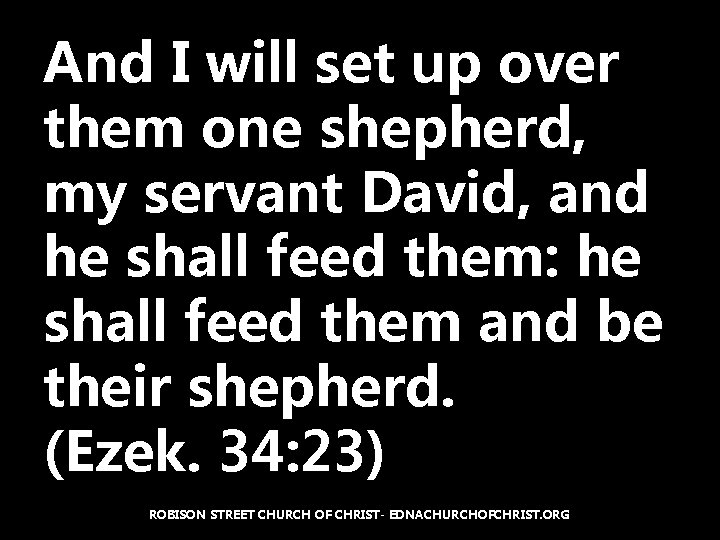 And I will set up over them one shepherd, my servant David, and he