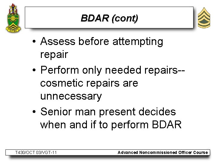 BDAR (cont) • Assess before attempting repair • Perform only needed repairs-cosmetic repairs are