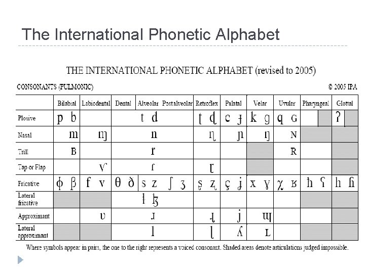 The International Phonetic Alphabet 