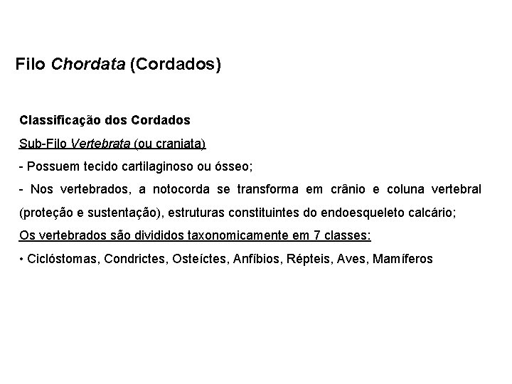 Filo Chordata (Cordados) Classificação dos Cordados Sub-Filo Vertebrata (ou craniata) - Possuem tecido cartilaginoso