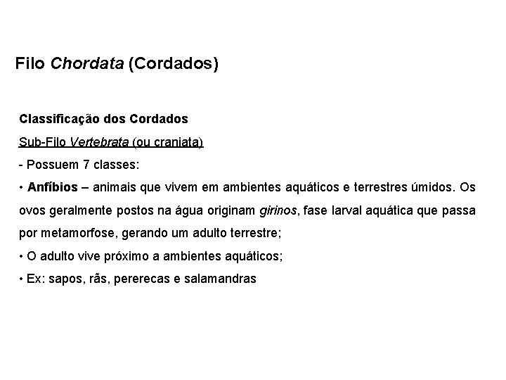 Filo Chordata (Cordados) Classificação dos Cordados Sub-Filo Vertebrata (ou craniata) - Possuem 7 classes: