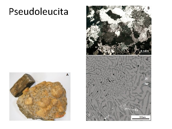 Pseudoleucita 