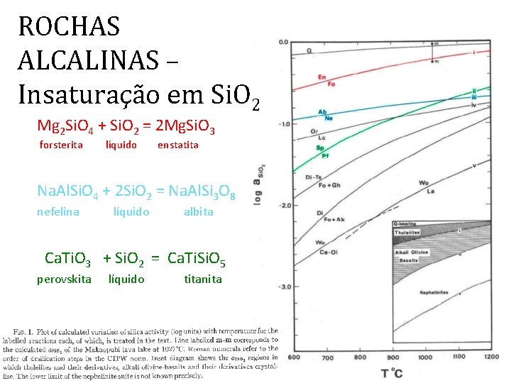 ROCHAS ALCALINAS – Insaturação em Si. O 2 Mg 2 Si. O 4 +