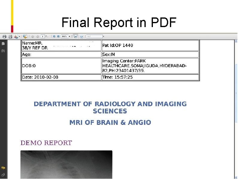 Final Report in PDF 