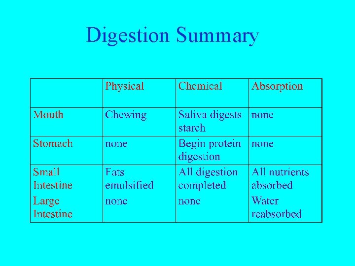 Digestion Summary 