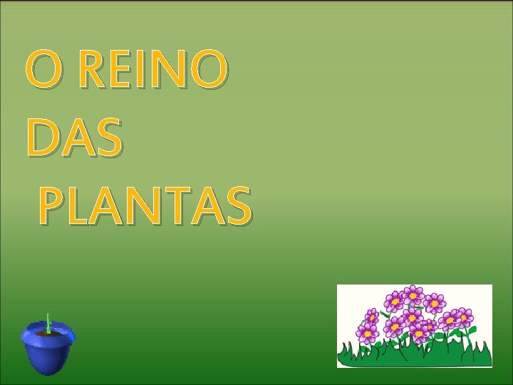 O REINO DAS PLANTAS 