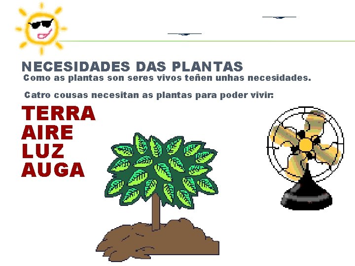 NECESIDADES DAS PLANTAS Como as plantas son seres vivos teñen unhas necesidades. Catro cousas