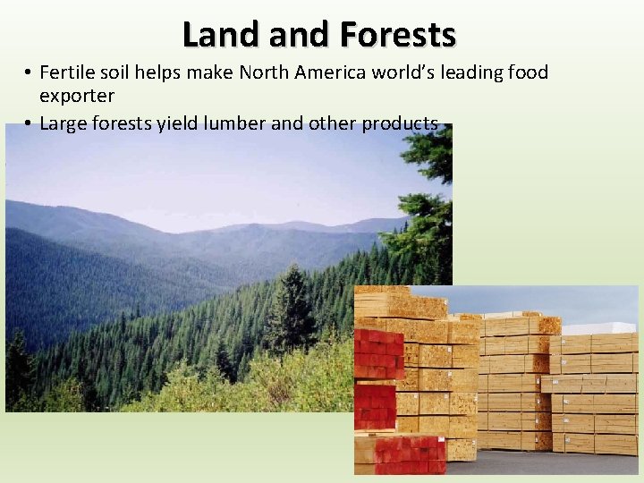 Land Forests • Fertile soil helps make North America world’s leading food exporter •
