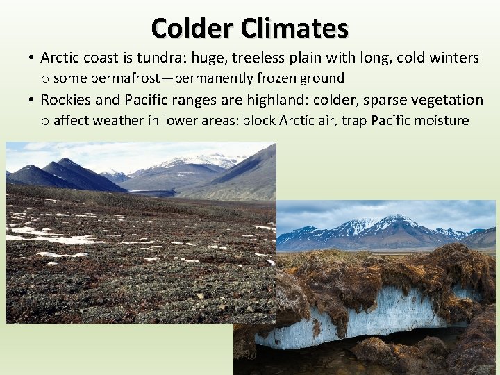 Colder Climates • Arctic coast is tundra: huge, treeless plain with long, cold winters