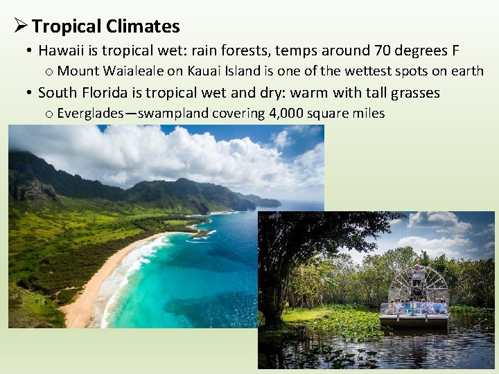 Ø Tropical Climates • Hawaii is tropical wet: rain forests, temps around 70 degrees