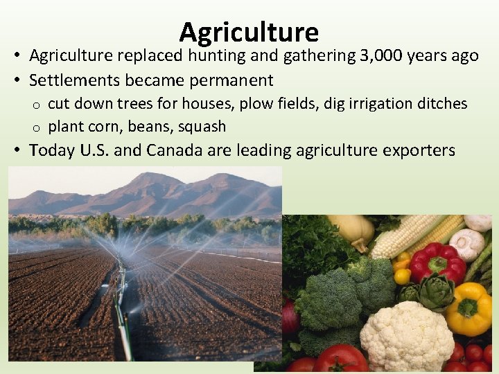 Agriculture • Agriculture replaced hunting and gathering 3, 000 years ago • Settlements became