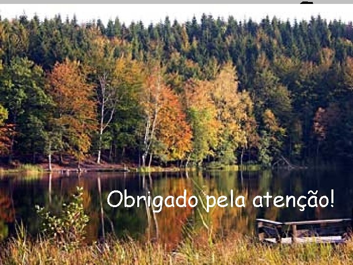 Obrigado pela atenção! 