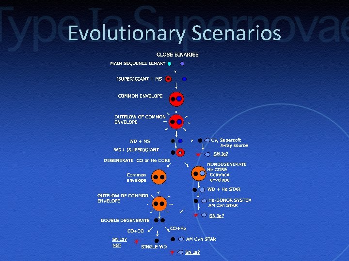 Evolutionary Scenarios 