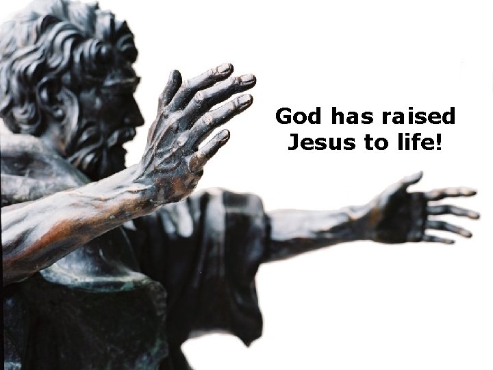 God has raised Jesus to life! 