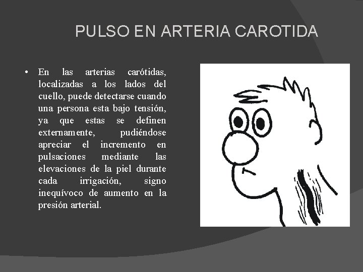 PULSO EN ARTERIA CAROTIDA • En las arterias carótidas, localizadas a los lados del
