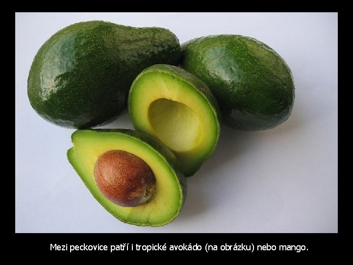 Mezi peckovice patří i tropické avokádo (na obrázku) nebo mango. 